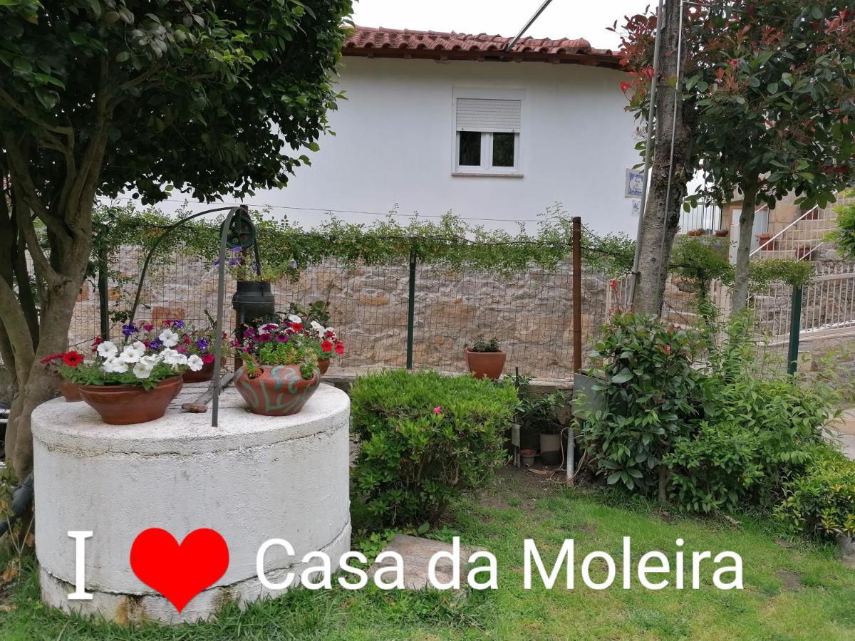 アマレス Casa Da Moleiraヴィラ エクステリア 写真